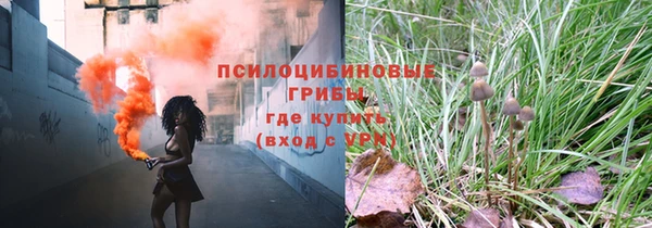 эйфоретик Медвежьегорск