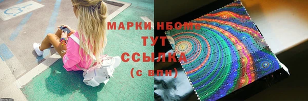 хмурый Алексин