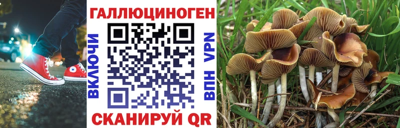 гидра ONION  Гусиноозёрск  Псилоцибиновые грибы Cubensis 